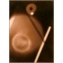 Collection Photographs