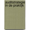 Auditstrategie in de praktijk