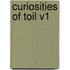 Curiosities of Toil V1