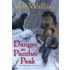 Danger on Panther Peak