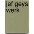 Jef Geys werk