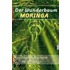 Der Wunderbaum Moringa