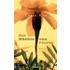Die Nächte von Flores