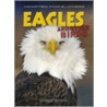 Eagles And Other Birds door Andrew Solway