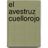 El Avestruz Cuellorojo