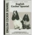 English Cocker Spaniel