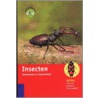 Insecten by H. Bellmann