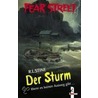 Fear Street. Der Sturm door R.L. Stine