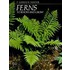 Ferns To Know And Grow
