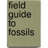 Field Guide To Fossils