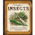 Field Guide to Insects