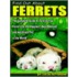 Find Out About Ferrets