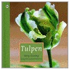 Tulpen by B. Kessing