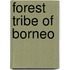 Forest Tribe Of Borneo