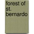 Forest of St. Bernardo