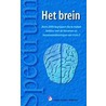 Het brein door A. Bergsma
