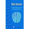 Het brein by A. Bergsma