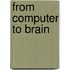 From Computer to Brain