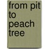 From Pit to Peach Tree