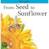 From Seed to Sunflower