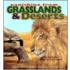 Grasslands And Deserts