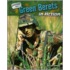 Green Berets in Action