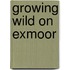 Growing Wild On Exmoor