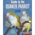 Guide To Quaker Parrot