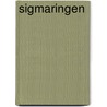 Sigmaringen by Martin Ros