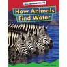How Animals Find Water door Emily C. Dawson