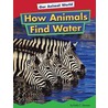 How Animals Find Water by Emily C. Dawson