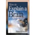 How to Explain a Brain