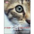 If Your Cat Could Talk