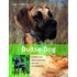 Duitse Dog