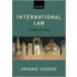 International Law 2e P