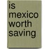 Is Mexico Worth Saving