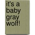 It's a Baby Gray Wolf!
