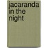 Jacaranda In The Night