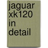 Jaguar Xk120 In Detail door Anders Ditlev Clausager