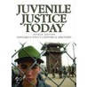 Juvenile Justice Today by Julie Kunselman
