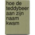 Hoe de Teddybeer aan zijn naam kwam