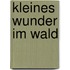 Kleines Wunder im Wald