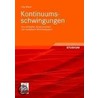 Kontinuumsschwingungen door Jörg Wauer