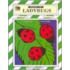 Ladybugs Thematic Unit