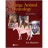Large Animal Neurology