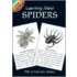 Learning About Spiders