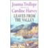 Leaves From The Valley