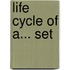 Life Cycle of A... Set