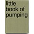 Little Book Of Pumping