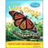 Looking at Life Cycles